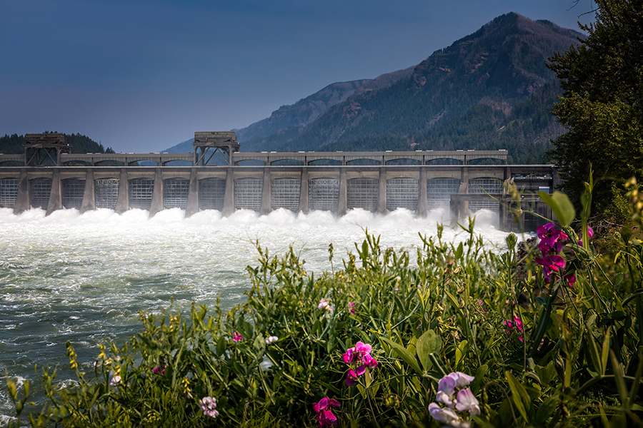 Dam with flowers in foreground